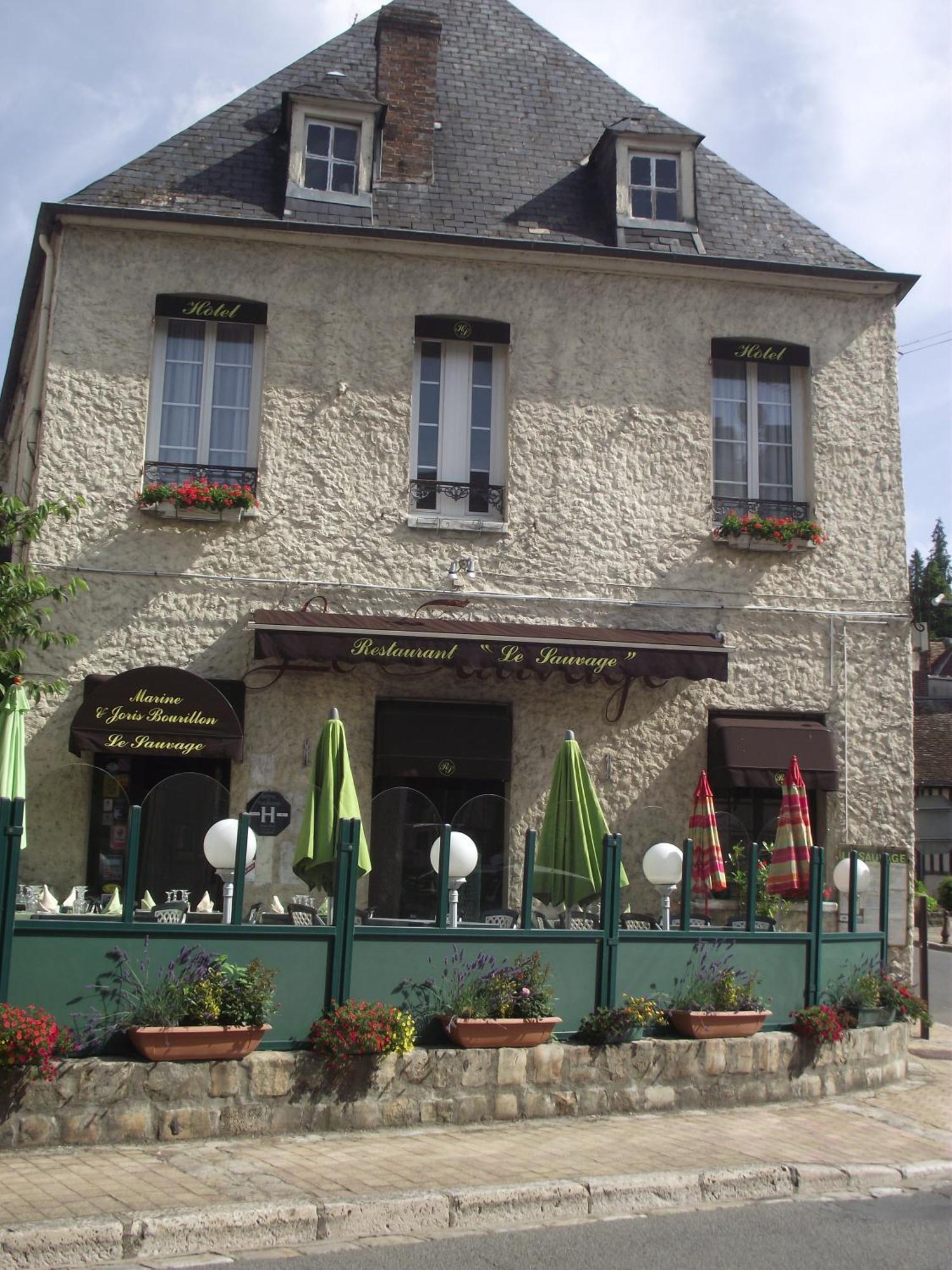 Hotel Le Sauvage Château-Renard Exterior foto